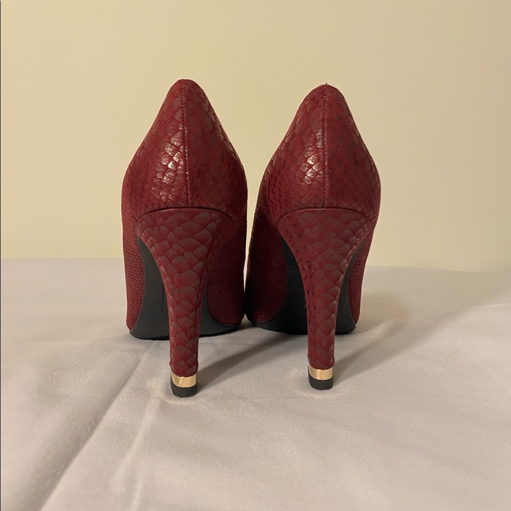 A Anne Klein Burgundy High Heel